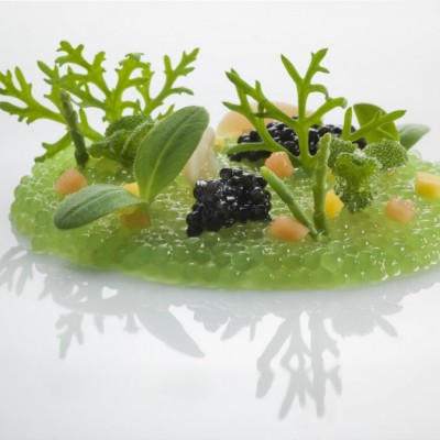 Giardino-dacqua...-900x675
